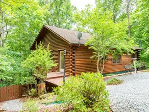 *Papa Bear Cabin-Game Room-Upper Hickory Nut Lake - Image 3