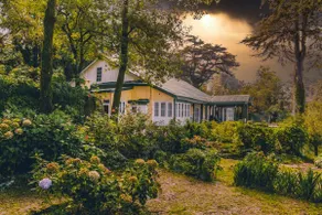 Rose Cottage 6BR Royal Home in Shimla Nr Mall Road - Image 2