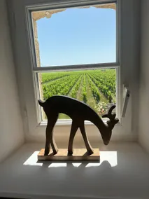 Charming house in the heart of the St Emilion vineyard. - Image 3