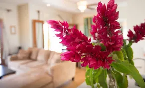 Custom Home Near Kehena Beach Slight Ocean View AC - Image 3