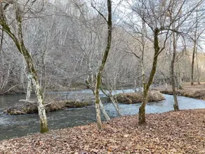 Private 14 acre Creek side Cabin and close to Lake - Image 3