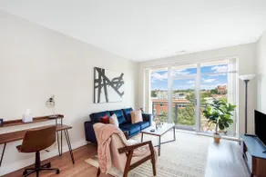 Lavish 1 bed Apt + Rooftop & Gym - Downtown Stamford - Image 2