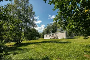Wolf Camp - Image 4
