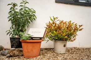 Cosy 1840s cottage in Chew Valley and Mendip AONB - Image 5