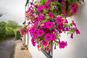 Cosy 1840s cottage in Chew Valley and Mendip AONB - Image 4