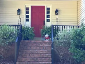 GameDay ”Dawg” House - Image 4
