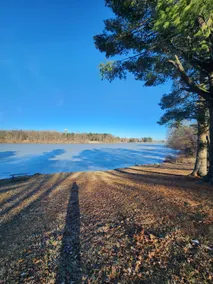 Helen's Lakeview Cottage - Image 3