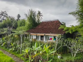 Private House with Rice Fields & Merapi View - Image 2
