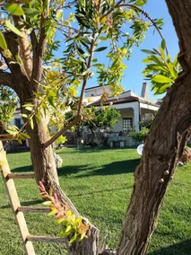 Villa Vigiò CIS: BA07203591000028712 - Image 2