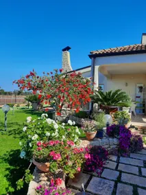 Villa Vigiò CIS: BA07203591000028712 - Image 4