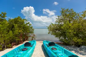 Seapalm island | Private beach and oceanside dock - Image 3