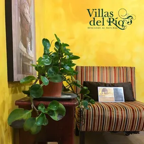 Bravo-Comfortable Villa surrounded by nature - Image 4