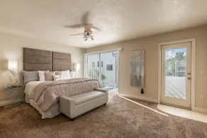 Modern Home next to Bucs Stadium & Airport - Image 4