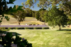 Enchanting Farm Cottage - Image 2