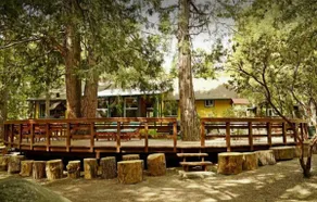 Serene and Magical Cabin w/Barrel Sauna and Fireplace - Image 2