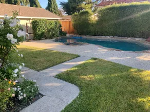 Large Palo Alto Home, Pool, 5 beds/3 baths, Spacious, Amazing backyard/deck - Image 4