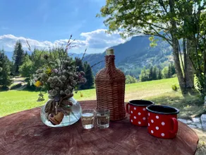 Chalet Hike&Bike above Bohinj valley - Image 4