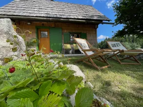 Chalet Hike&Bike above Bohinj valley - Image 2