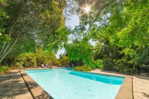 Design apartment in a botanic garden with pool - Image 3