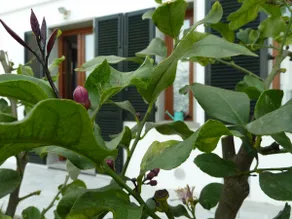 Apartment 5 5 3 - Image 3
