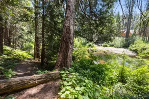 Aspen- Spacious River Front, family cabin - Image 3