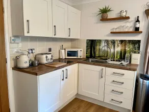Coastal garden annex with log fire & summer house - Image 3