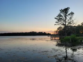 Relaxing newly-renovated 3/2 lakeside retreat with private dock - Image 5