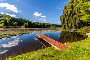 Chelsea Lake House, Game Room, & Pontoon-rental - Image 5