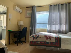 motel-like studio w/ private bath & kitchenette - Image 3