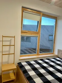 Smeletas krantas/Sandy shore - Image 3