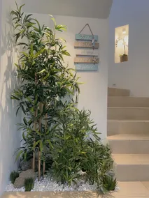 Whitewater Beach House - Image 3