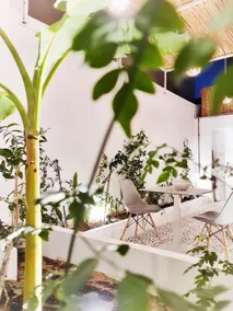 Waterfront house in the heart of Marsa - Image 3