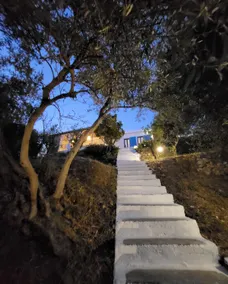 Balcony overlooking the Ionian Sea and under the centuries-old olive trees - Image 3