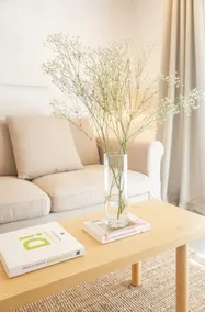 The Jonc de mer: Condo at 5 min from the beach - Image 3