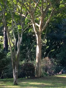 Urban Hideaway overlooking golf course. - Image 2