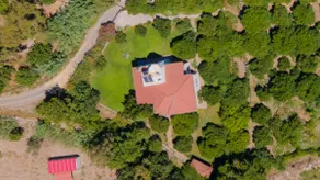 A paradise among orange tangerine trees - Image 2