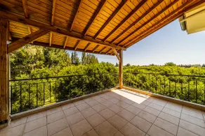 A paradise among orange tangerine trees - Image 5