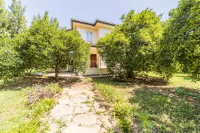 A paradise among orange tangerine trees - Image 4