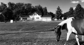 Red Barn Ranch - Image 2