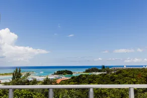 Popular resort area Onna-mura, Takadai, private ocean view villa! Enjoy a relaxing resort time! - Image 5