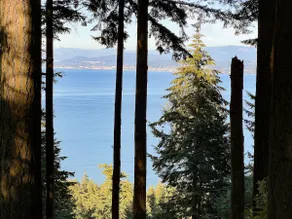Lakeside Cabin in the Trees with Views and Hot Tub - Image 4