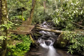 2 Waterfront Cabins + Waterfalls, Hiking Trails - Image 4
