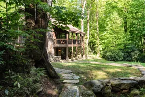 2 Waterfront Cabins + Waterfalls, Hiking Trails - Image 2