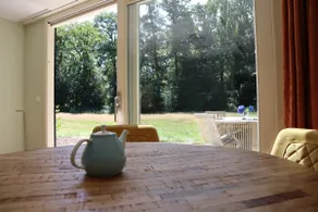 New holiday home in Appelscha on the edge of the forest - Image 3