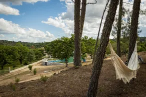 Casa dos Bernardos - Image 4