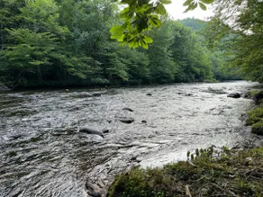 Evergreen on Little River Private river access. - Image 5