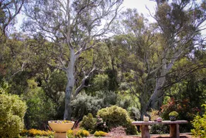 Jessie's Bed & Breakfast - Image 4