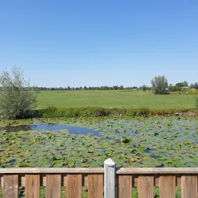 Detached house on nature reserve - Image 4