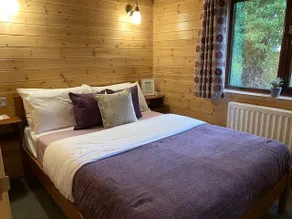Pinecone Cabin, an enchanting forest retreat - Image 5