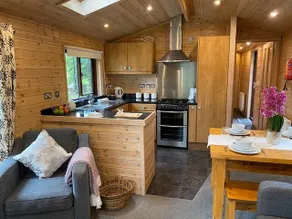 Pinecone Cabin, an enchanting forest retreat - Image 4
